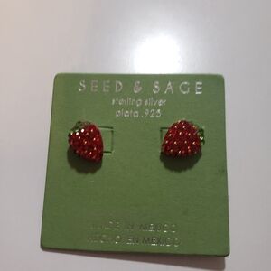 Seed And Sage Strawberry Earrings  - Red and Green